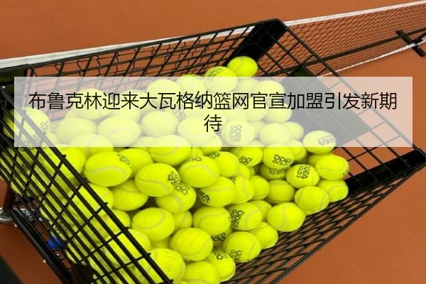 布鲁克林迎来大瓦格纳篮网官宣加盟引发新期待